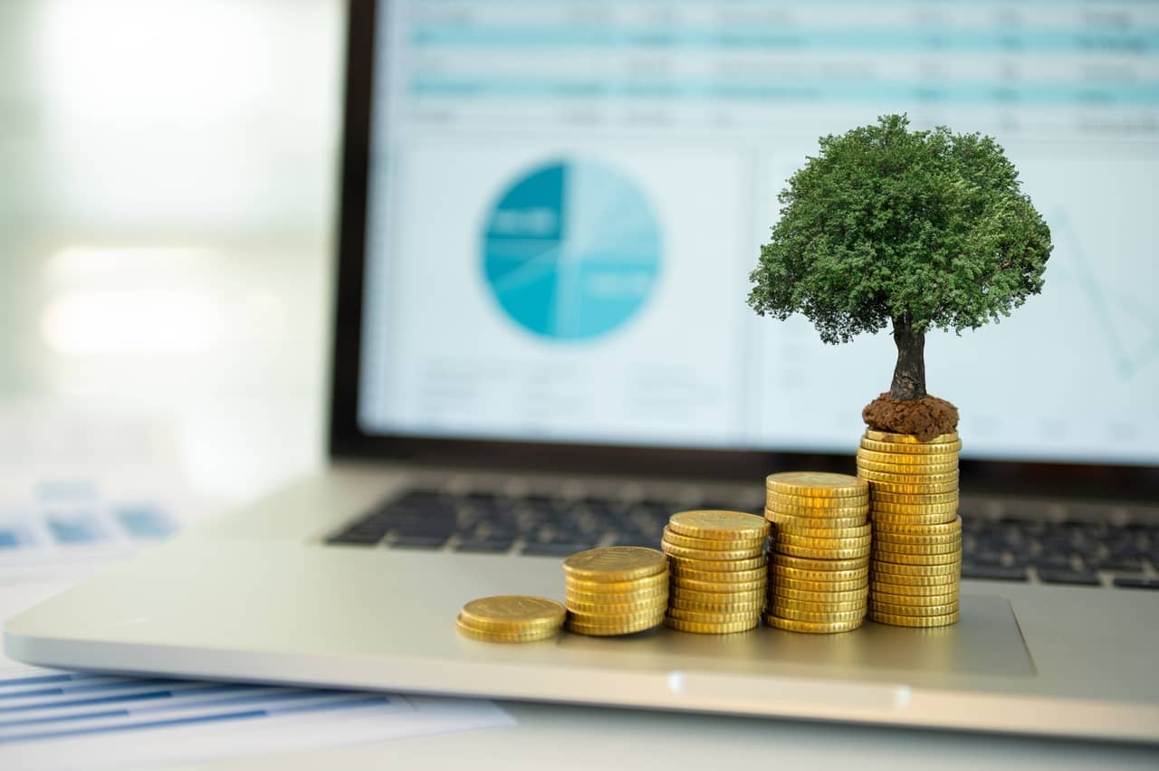 Northern Small Cap Fund Ka First Quarter Dhamaka 2026