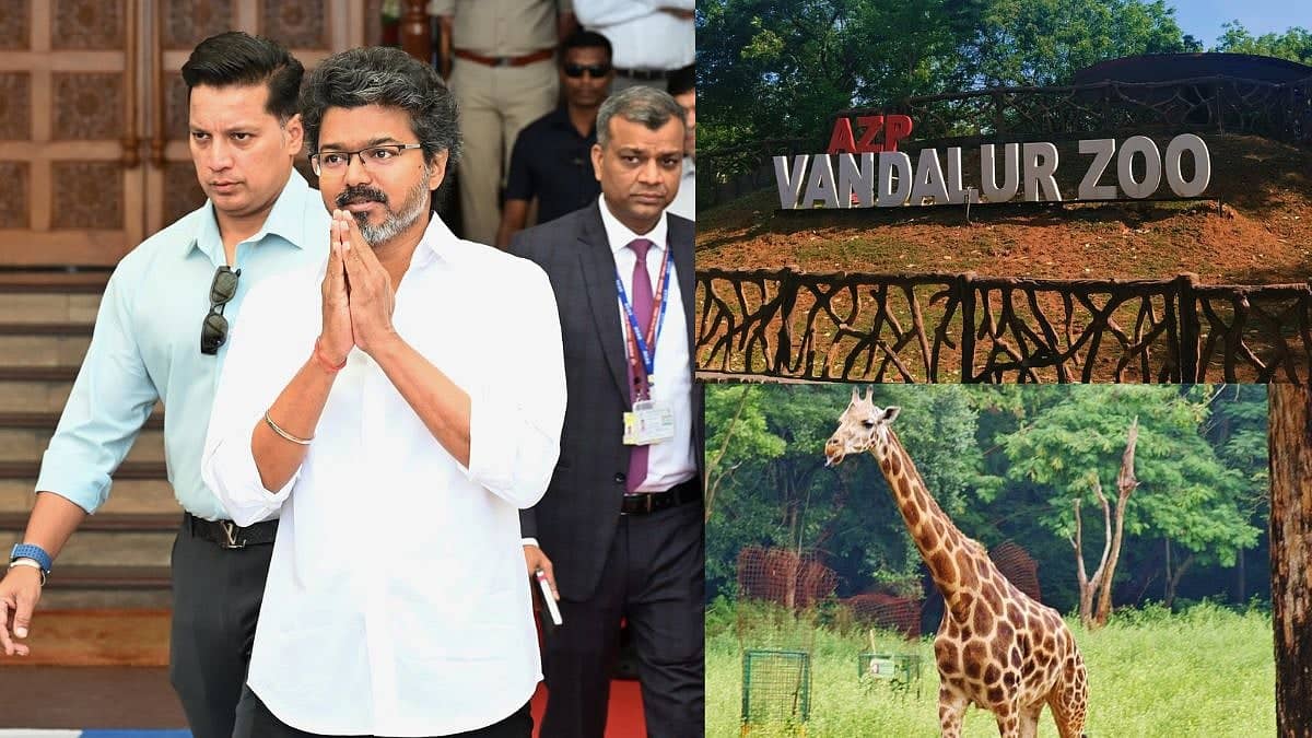 Tamil Nadu Ka Dhamaka: Vijay Ka Birthday Aur Free Zoo Entry