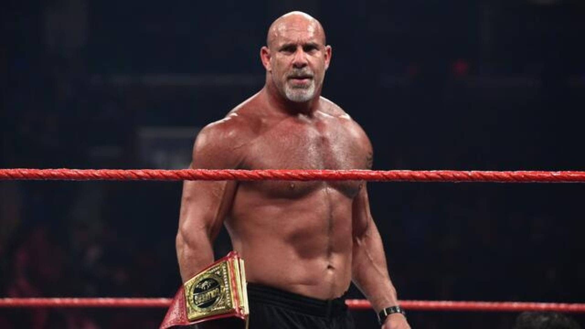 Goldberg's Comeback: Squashing Lesnar Like a Bug in 2 Minutes