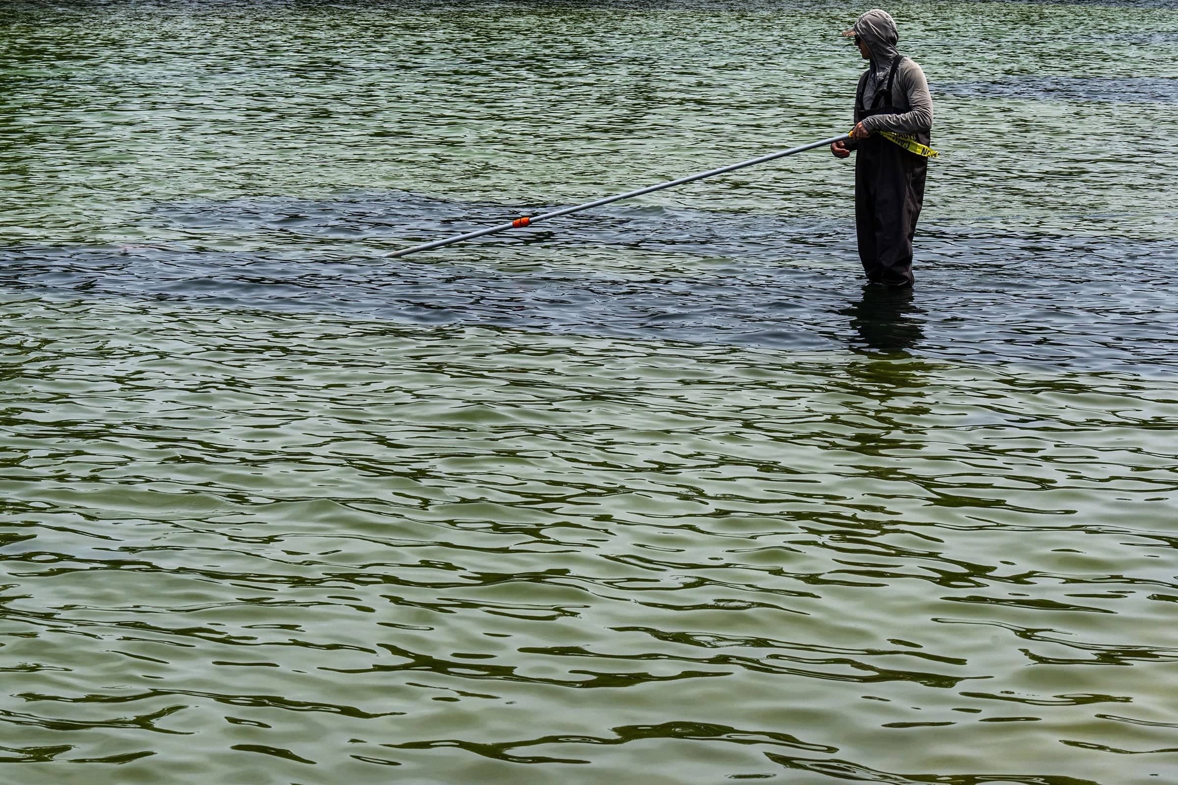 Trump Thinks White House Pool Needs a Drain, Algae Rave!