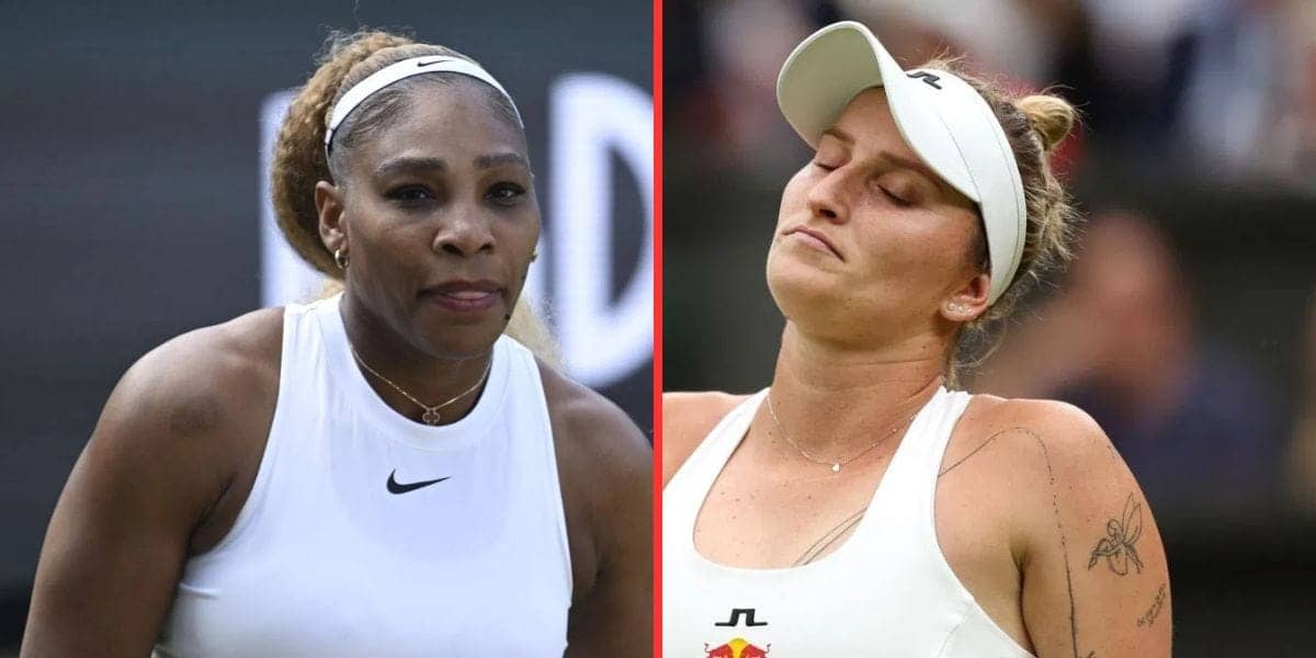 Serena Williams Mistakes Doping Officer for Burglar Drama