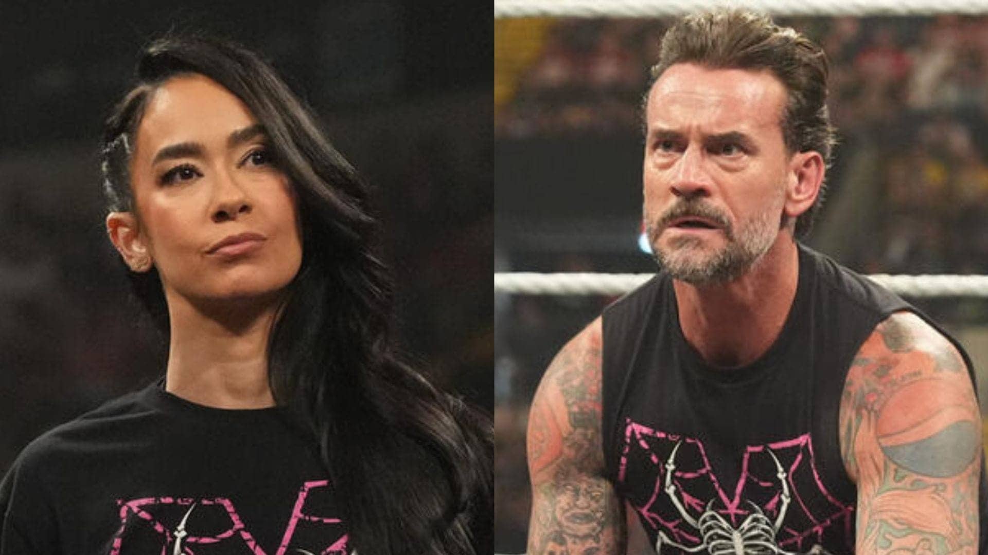 AJ Lee Ka Dark Days Ka Kissa Aur CM Punk Ki Samajh