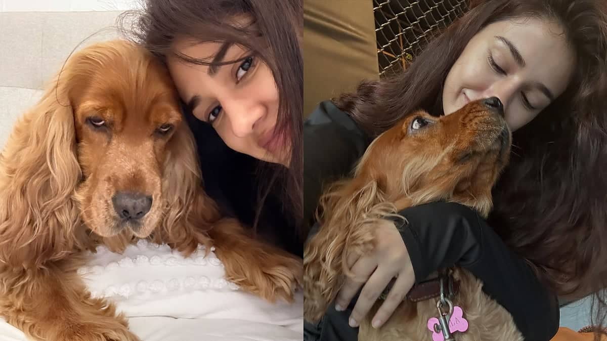 Disha Patani's Heartfelt Tribute to Beloved Dog Bella