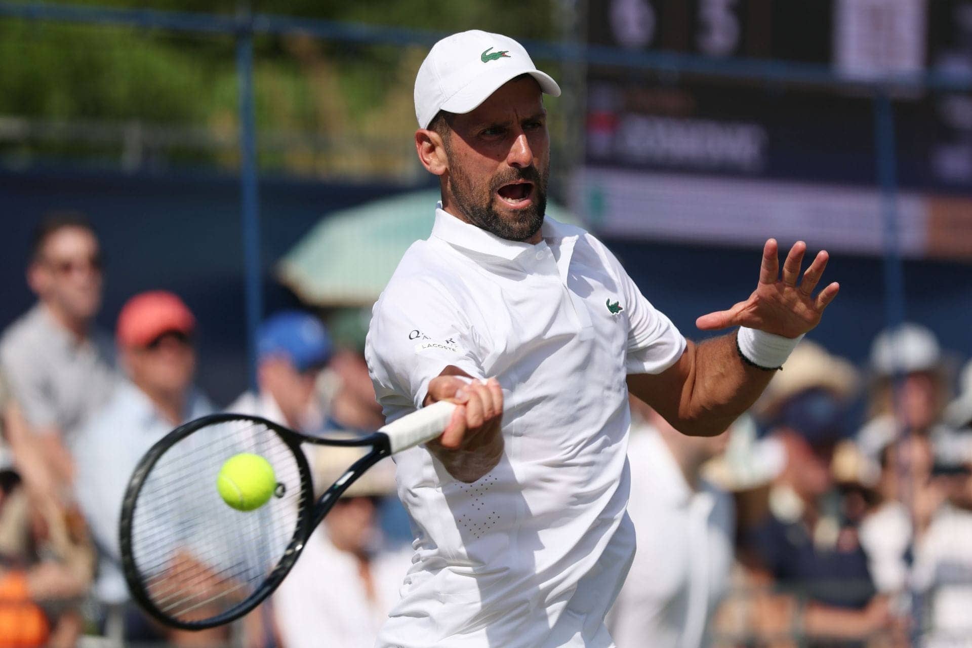 Is Novak Djokovic playing Wimbledon 2026? Latest Wimbledon injury rumors, draw & title odds