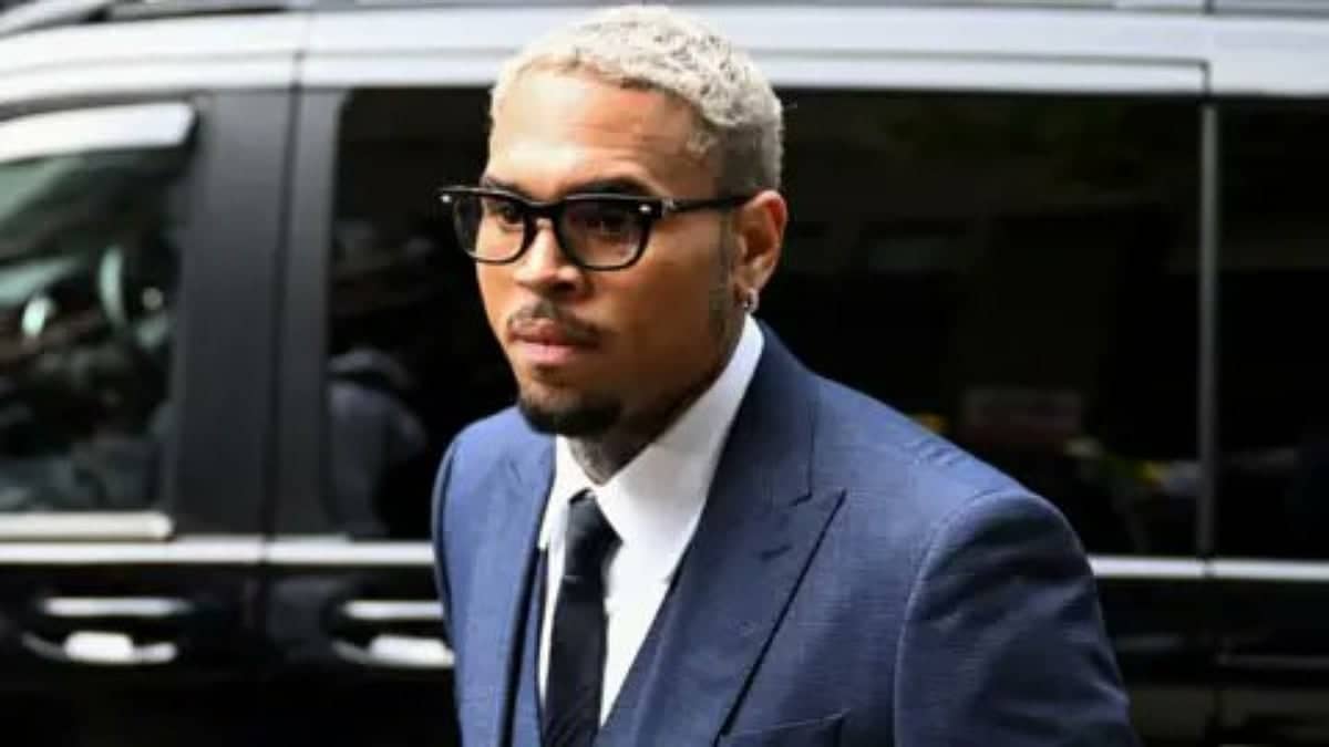 Chris Brown's Dog Mishap: $13 Million Chew Toy Saga