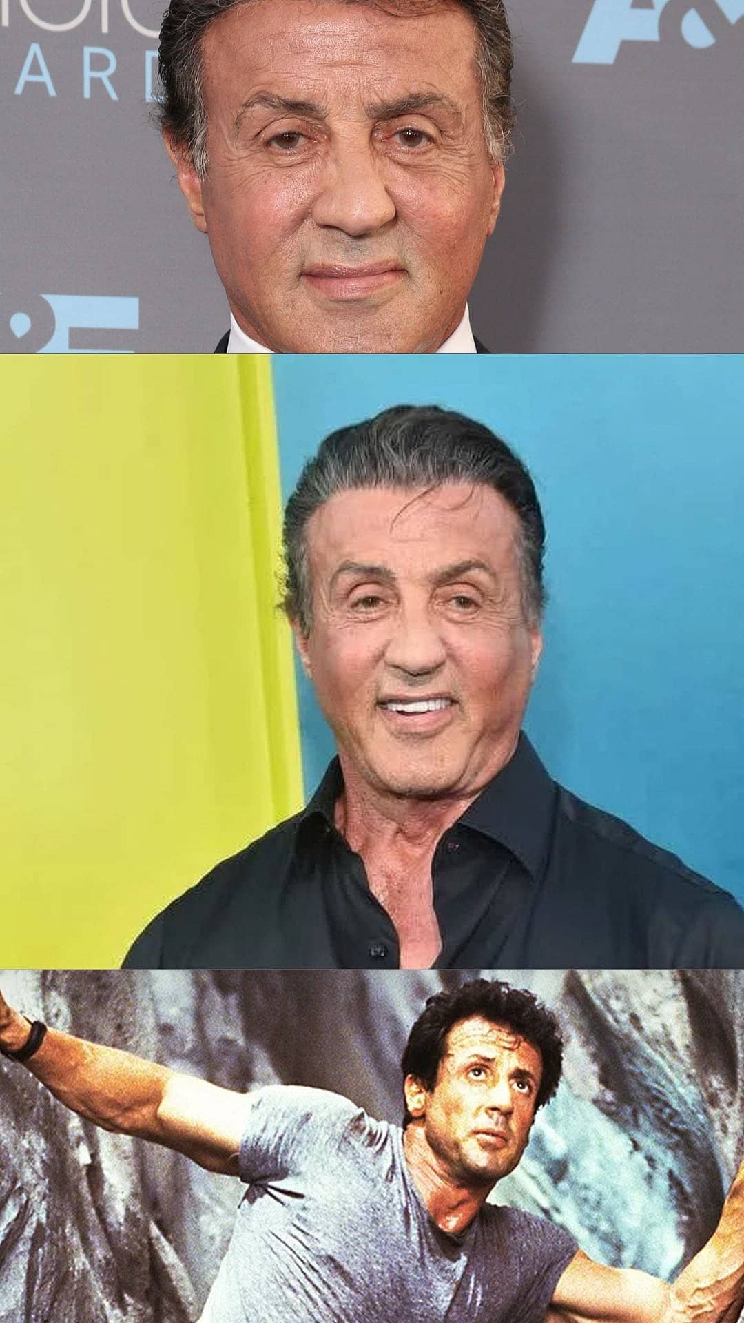 Sylvester Stallone Turns 80: Fun Facts About Rocky Star