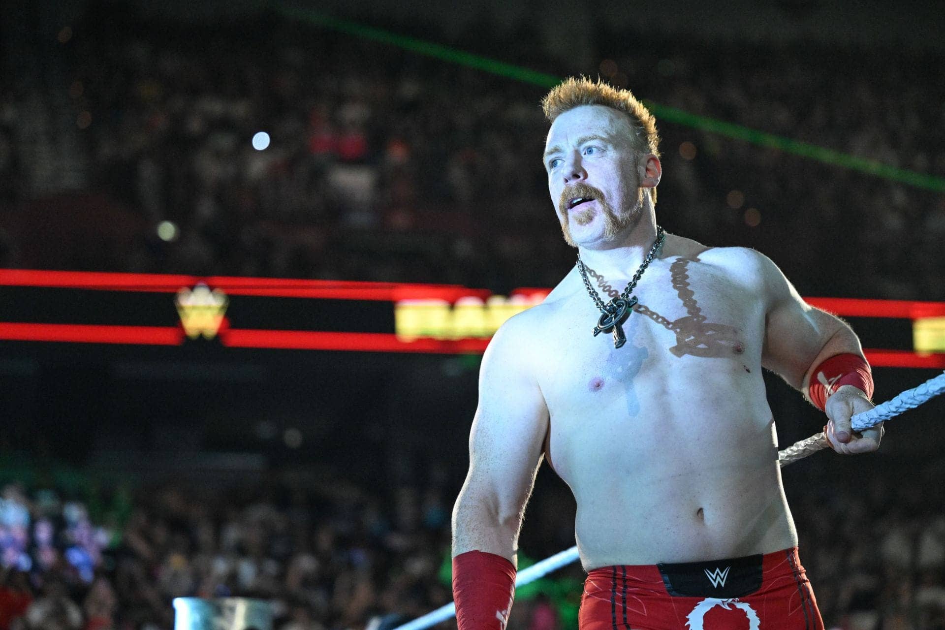 Sheamus Says Goodbye to WWE After 19 Years of Action!