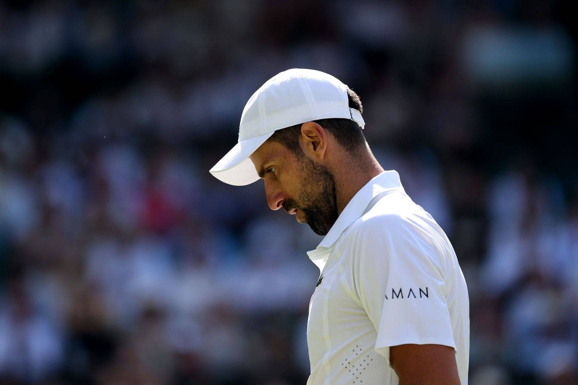 Wimbledon’s Day 9 Drama: Djokovic Gets the Royal Treatment