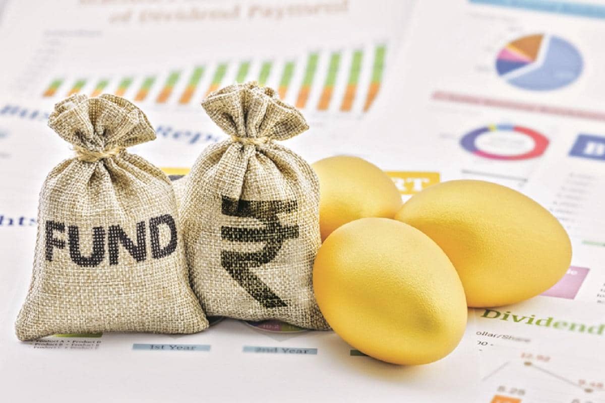 Bandhan Flexi Cap Fund: A Wild Ride for Your Money