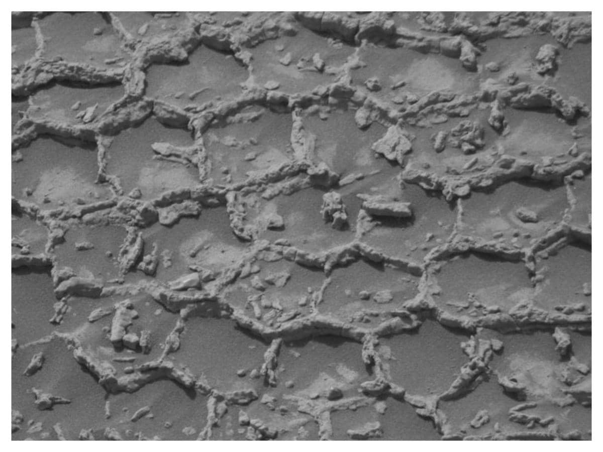 NASA Ka Curiosity Rover Dhoondta Hai Mars Ka Honeycomb Jaisa Structure