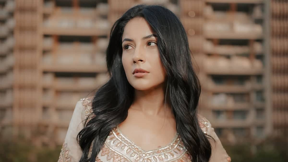 Shehnaaz Gill Ka Therapy Par Mazak, Netizens Ki Takhleef