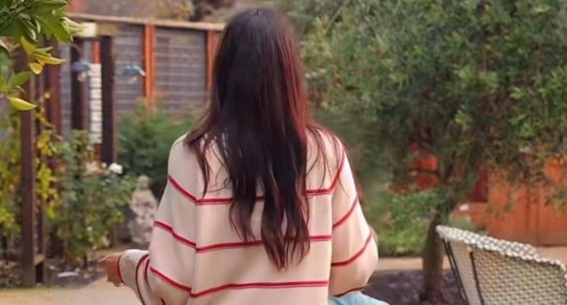 Brie Bella Ditches Boyfriend for WWE Glory and Titles