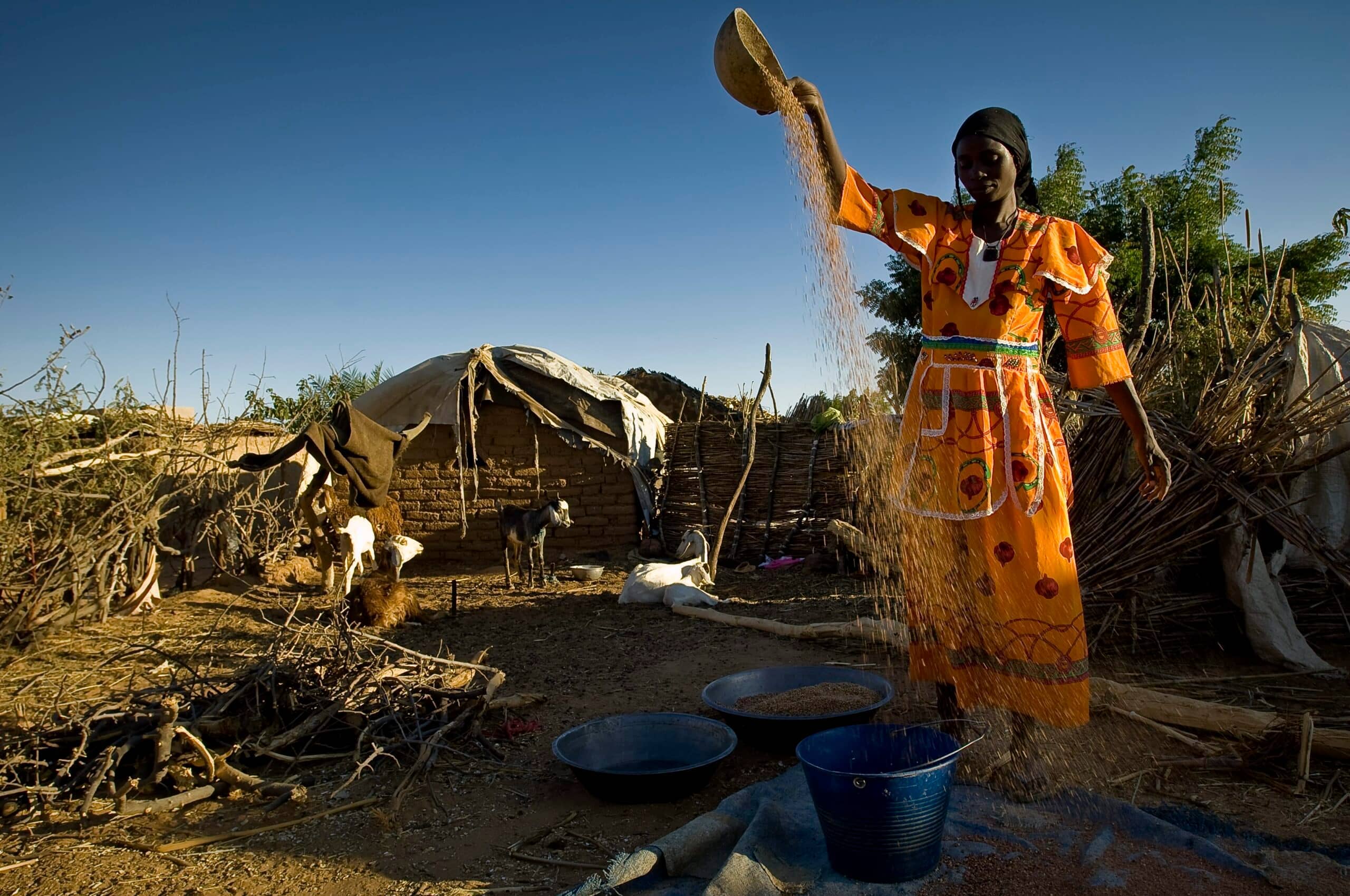 Sudan Takes Legal Action Against UAE for Civil War Support