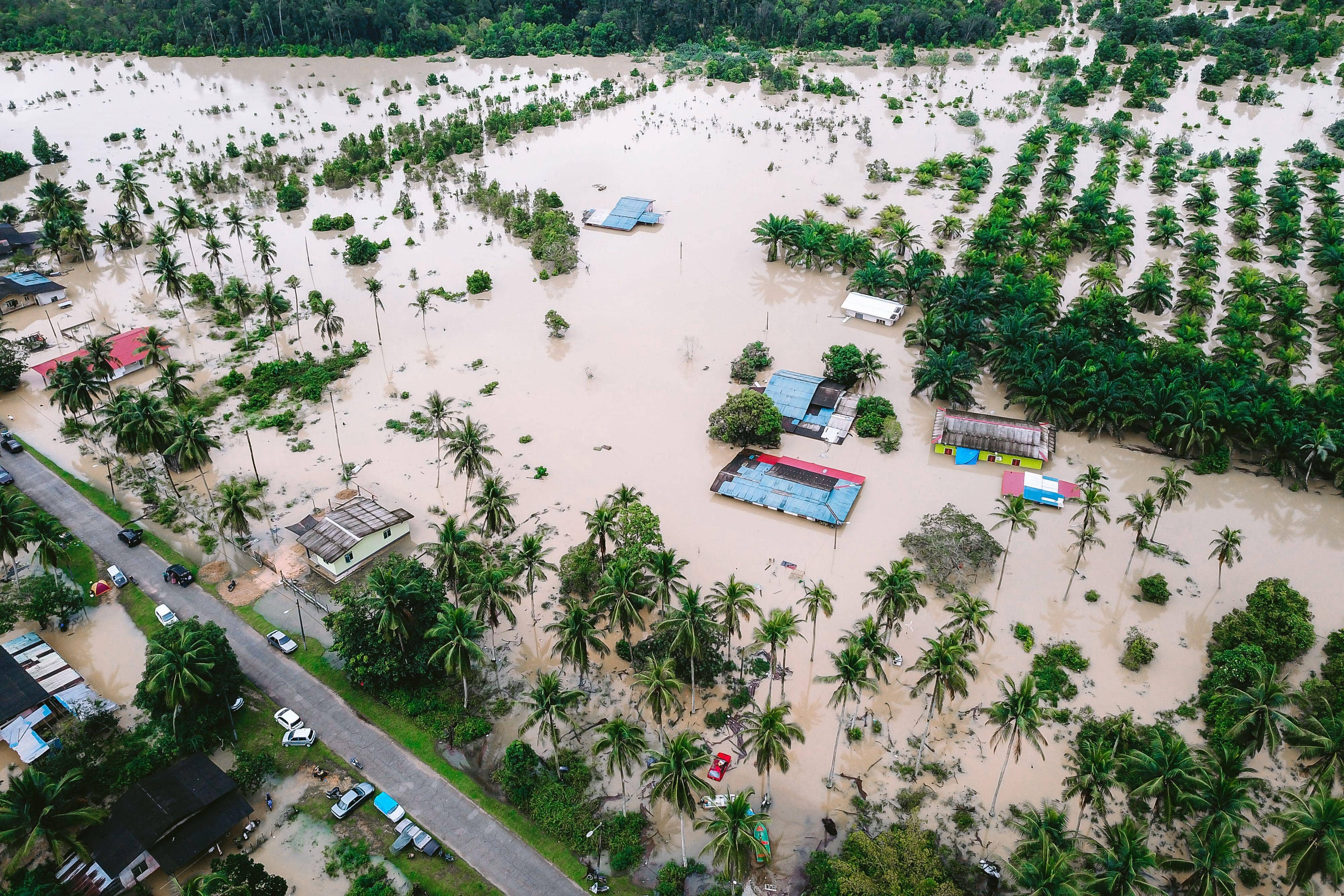 Climate 'black swan' risks: Why investors are preparing for the worst