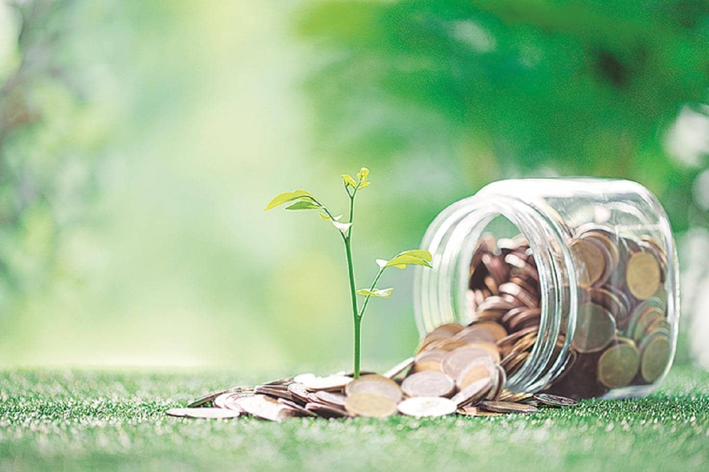 Mutual Funds: The Pizza Slice Showdown You Must Try