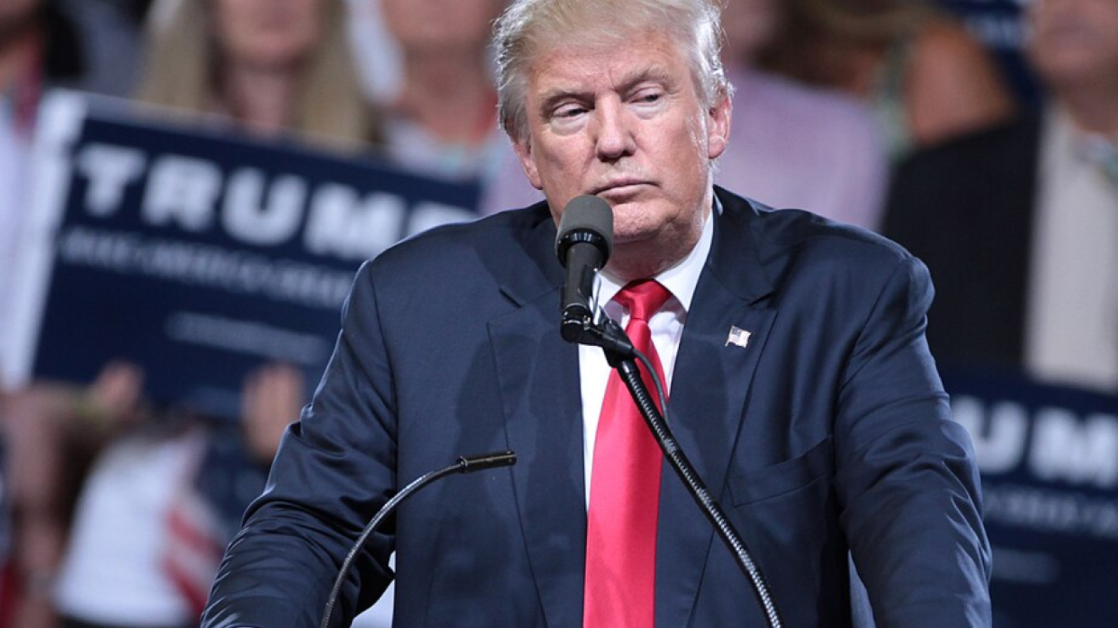 Bryan Andrews in Hot Water Over Anti-Trump Comments