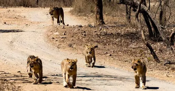 Power Ka Khel: 5 Muscles Se Kaise Banti Hai Duniya