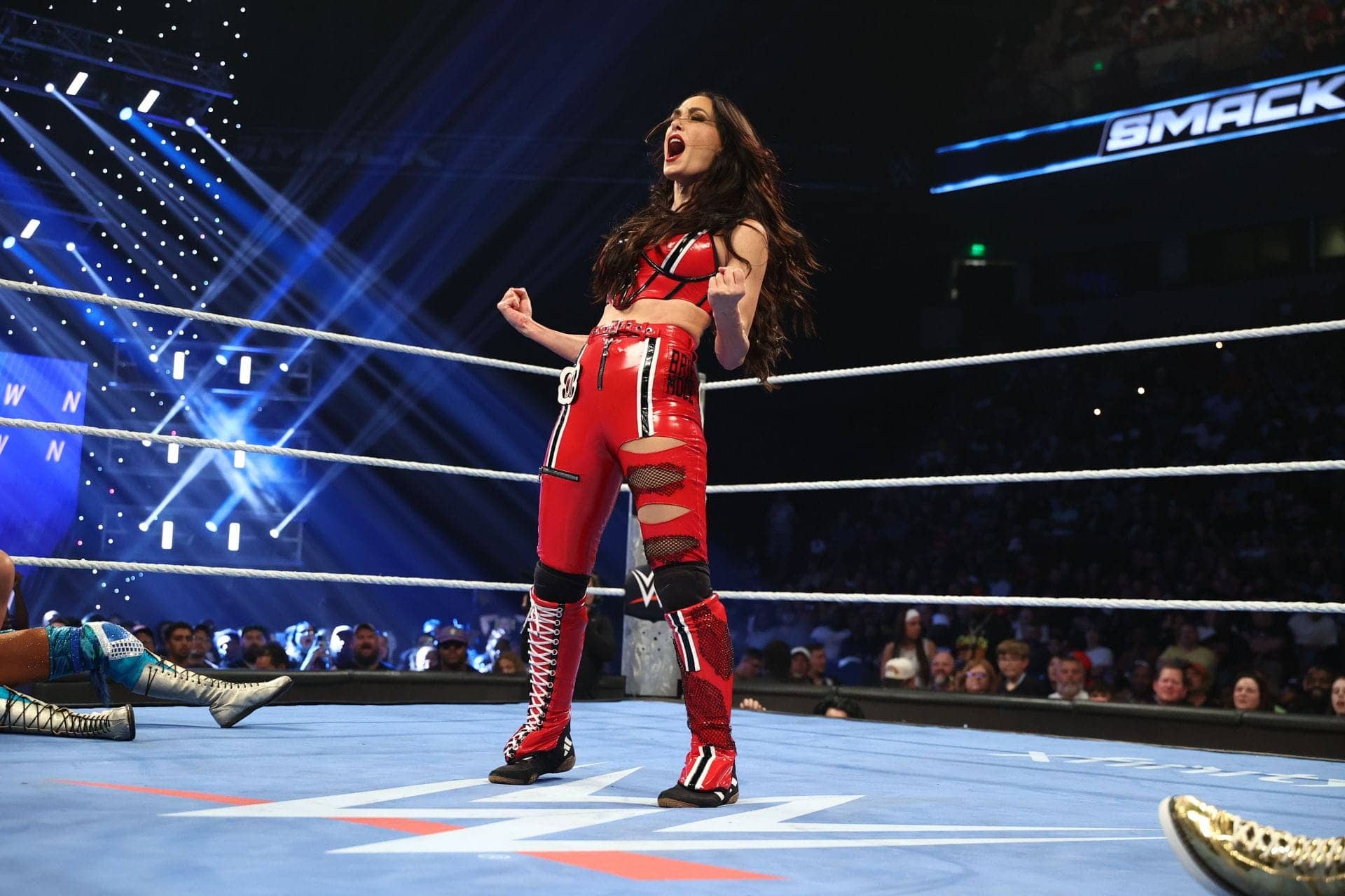 Brie Bella's Heartbreak After WWE Tag Title Loss in NY