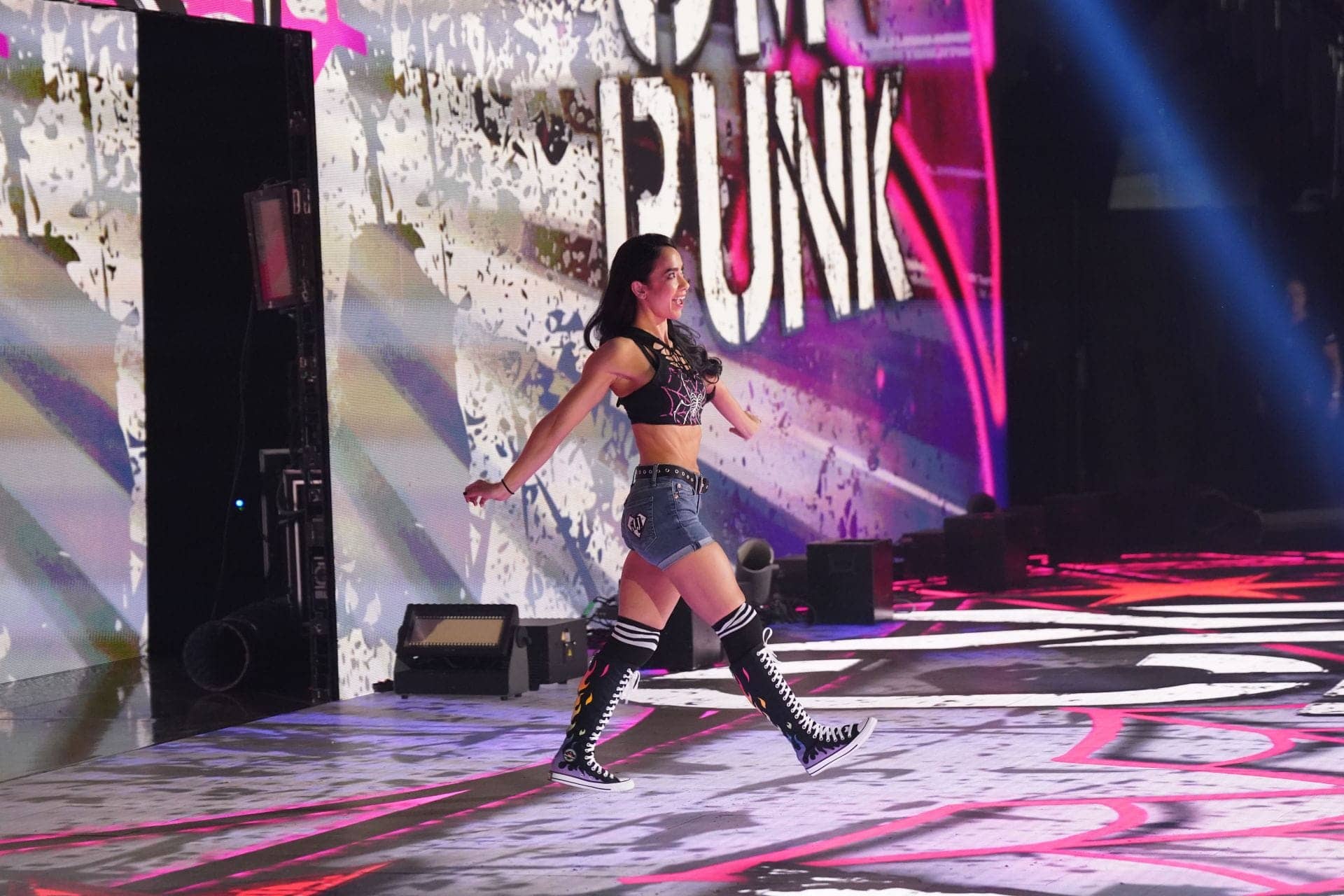 AJ Lee's Dream Last Match Opponent: Bayley Revealed