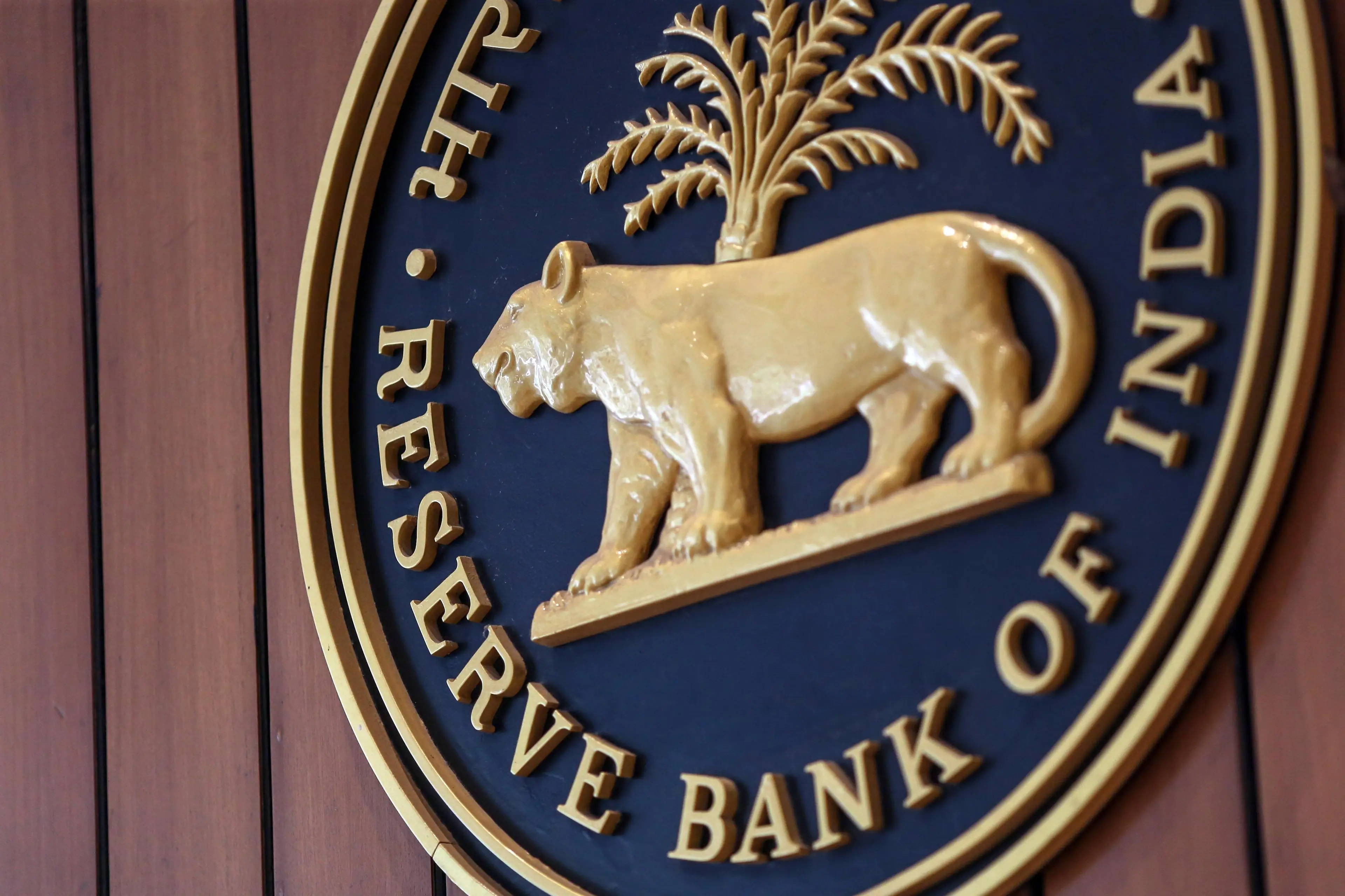 RBI's Jain Says Banks Alone Can't Fund India's Future Dreams