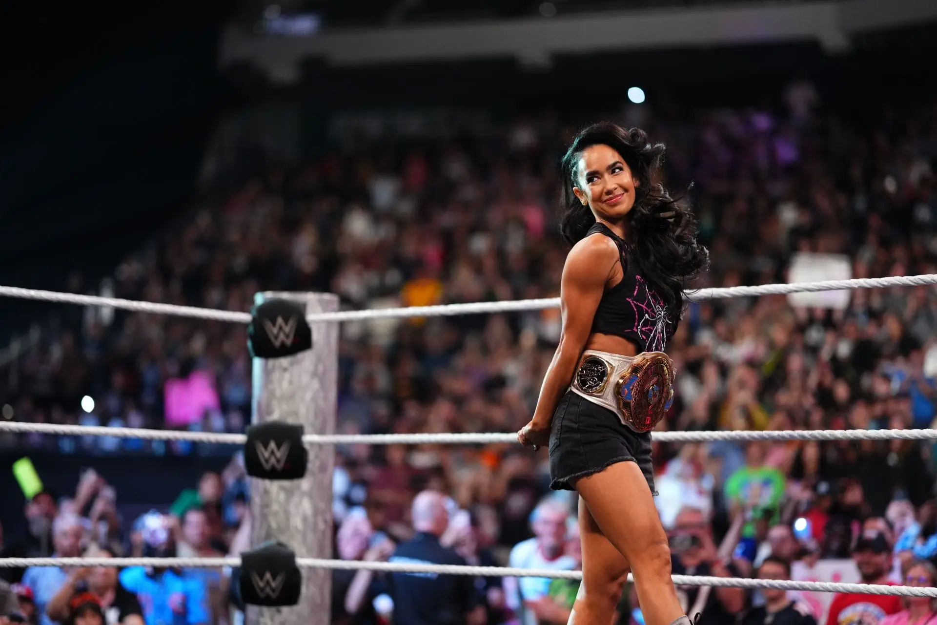 AJ Lee's Cheeky Reaction to Ranking While on Hiatus