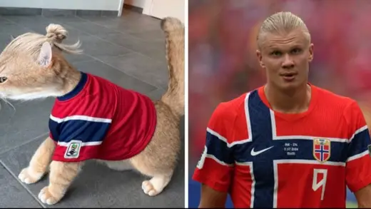 Haaland's Cat Lookalike Goes Viral and He Reacts Brilliantly