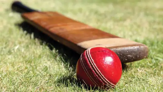 UAE Cricketer Akhilesh Reddy Ka Match-Fixing Ka Chakkar