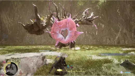 Pokémon Easter Eggs in Beast of Reincarnation Unleashed