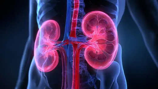 Parliamentary Committee Urges Fun Kidney Health Plan