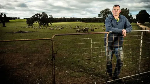 Australian Grain Farmers: Champions of Crop Challenges