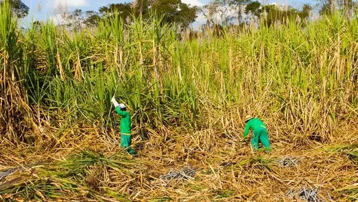 South Africa's Food Prices Skyrocket 62% Thanks to Energy Hikes