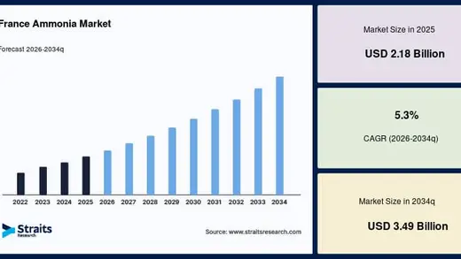 France's Ammonia Market Rocks $2.18 Billion and Counting!
