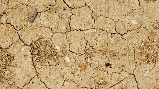 Nations Scramble Like Chefs for Rare Earth Elements Supply