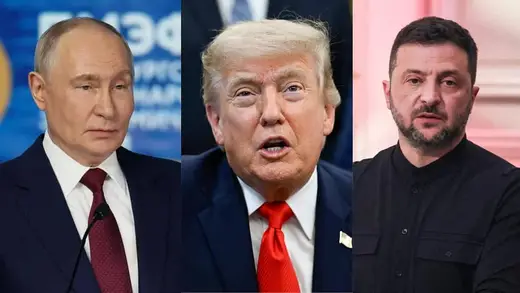 Clumsy Cats in Conflict: Trump and Putin Stuck in a Mess