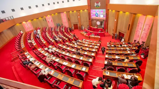 Nigeria Ki Senate Ne Police Ko Diya Zyada Power, Arre Wah!