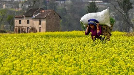 Nepal Banega Carbon Credit Ka Superstar, Sabko Pasand Aayega!