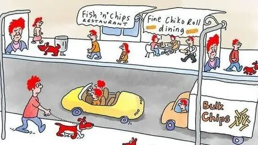 Liberal Party's Identity Crisis: A Culinary Catastrophe