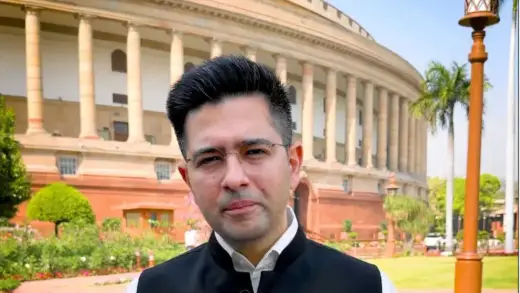 Political Buzz: Raghav Chadha and Ashok Mittal in the Mix