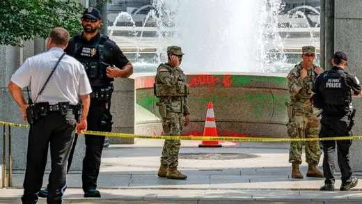 Woman Charged for Alleged WWII Memorial Vandalism Drama