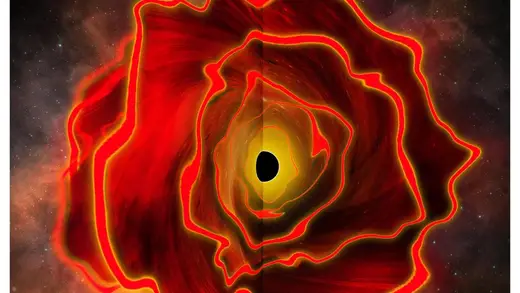 Astronomers Discover Cosmic Mystery: The Black Hole Star