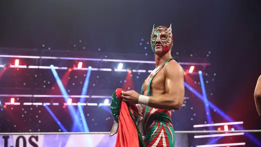 WWE Superstar Sees Stars After Scary Match Incident