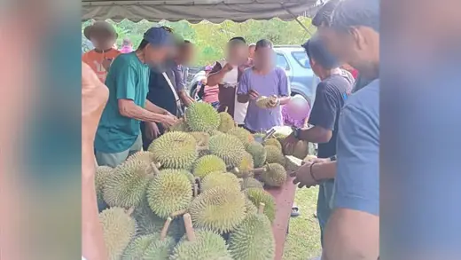 Bersih Ka Election Reform Chakkar: Durian Aur Lucky Draw!