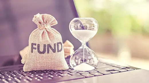 Nippon India Large Cap Fund Review: A Slice of Pizza Success
