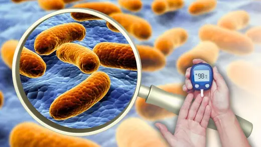 Yogurt to the Rescue: China's Smart Probiotic for Diabetes