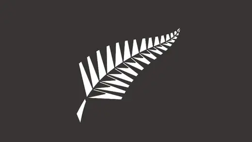 NZ Cricket's $7.3M Deficit Leads to Super Smash Cuts