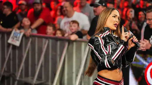 Bella Twins Drama: From SmackDown to Online Feud? Oh My!