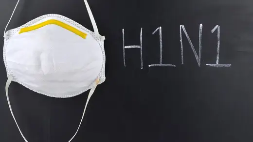 Delhi's Swine Flu Alert: 1,777 Cases and Counting!