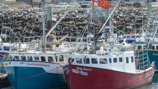 Nova Scotia Fishers Appeal Court Ruling on Lobster Rights Saga