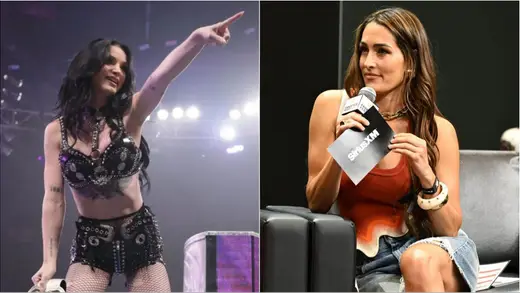 Paige Says WWE Sees I'm Money, Nikki Bella Missing Out