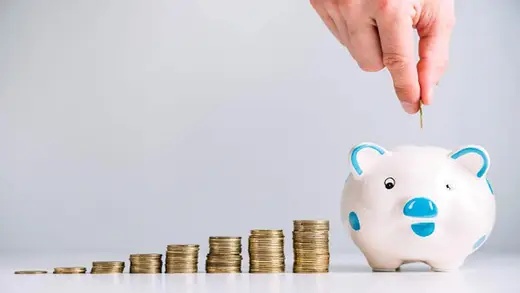 Small Finance Banks Serve Up to 8.5% on Fixed Deposits